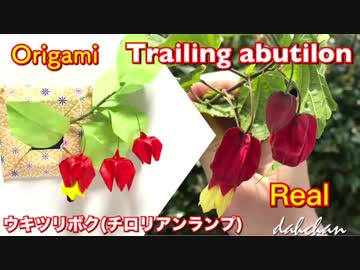 【折り紙】ウキツリボク（チロリアンランプ）作ってみた