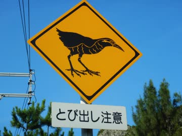 【ゆっくり】徒歩で日本一周part325【国頭】