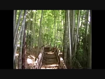 【音楽と景観】東京緑地#10「竹林公園、目白庭園」