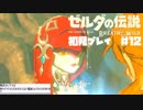 【完全初見実況】なんか攻略の仕方がちょっと違うゼルダBotW【その12】