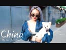 習譜予 - China