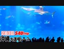 ２泊３日沖縄大満喫レース【#13】美ら海水族館編Ⅱ