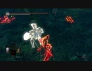 【ダークソウルR】本格的 ガチムチパンツ侵入0【黒い森の妖精】