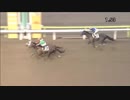2018年6月6日大井競馬7R 逃げ水賞(A2・B1-一) リコーヴィッカース