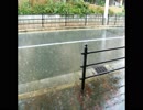 静かな雨の音とカエルの鳴き声《10分》（睡眠用BGM・作業用BGM）