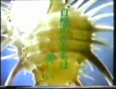 自然のかたちは　美しい