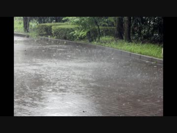 やさしい雨の音《10分》（睡眠用BGM・作業用BGM）