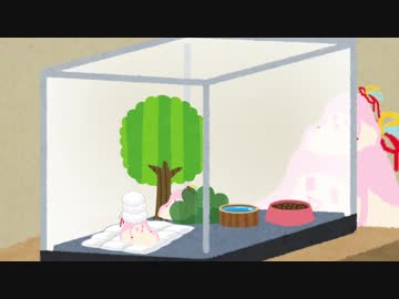 ｵｾﾜｾﾔﾅｰ