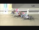2018年6月7日大井競馬12R 麦秋賞(B2-四・B3-一) スギノグローアップ