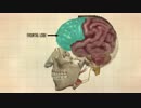 科学的事実 聖クルアーンの中で_見る必要がある  Scientific Facts in The Holy Quran - Must See!