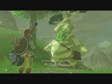 厄災かけますね.botw5