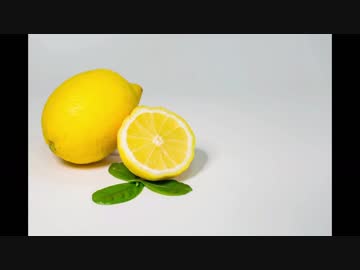 【生きた化石が】 Lemon　歌ってみた【カブトガニ】