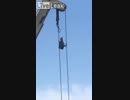 無茶をするアライさん