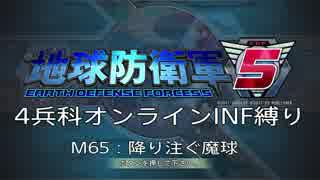 【地球防衛軍5】R視点のEDF5ひめしば！【オンライン4兵科いきなりINF】 M65