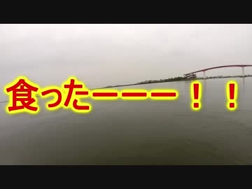 シーバス狙いでまさかの！〇〇〇が⁉　【もっち釣動組合♪♯２６】