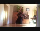 【Starry】夢と葉桜 / Yume to Hazakura【踊ってみた】