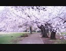 【トラック提供】惑う春【春よ、来い】