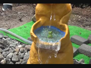 童心に帰って、ちょいと日本庭園作り　其の五