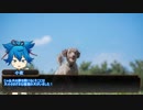 【実卓リプレイ】風雲！大阪城 二階目【とうらぶCoC】