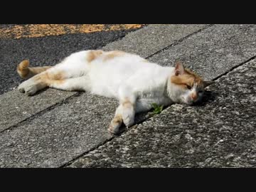 【ゆっくり】貴族かぶれが日本を楽しむ 九州編　2日目