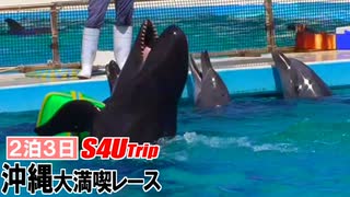 ２泊３日沖縄大満喫レース【#15】美ら海水族館編Ⅳ