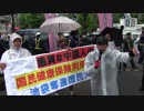 極左の邪魔　最初の集会篇　悪質な中国人の国民健康保険利用を糺せ！池袋奪還国民大行進H30/06/10