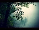 浜辺の波の音と静かな雨の音（睡眠用BGM・作業用BGM）
