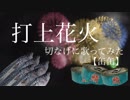 【缶缶】打上花火【歌ってみた】