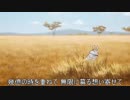ナメカ…