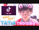 【フル】TikTokで何が出来る？／りょうちむ.（45秒の替え歌で歌ってみた）