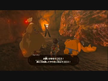 【ひろくん】ゼルダの伝説ブレスオブザワイルド#79