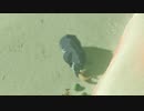 依頼を受けて、動物に餌を与えてみた【オオツノサイ　編】