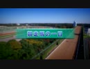 【競馬】競走馬の一日