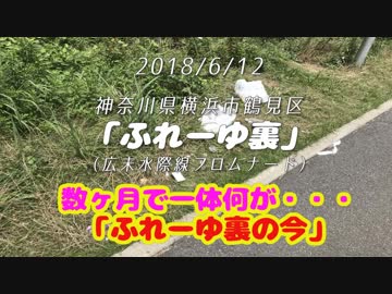 釣り動画ロマンを求めて番外編（数ヶ月で一体何が？ふれーゆ裏の今）