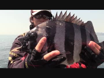 【魚釣り】 俺の刺し餌グレに届け！！part22後編