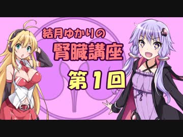 【結月ゆかり】結月ゆかりの腎臓講座 Part1【弦巻マキ】