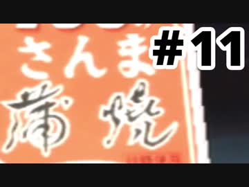 【実況】初めての「ピクミン２」 #11