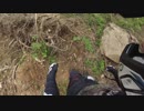 crf250rally 林道を行く（オフロ～党）②