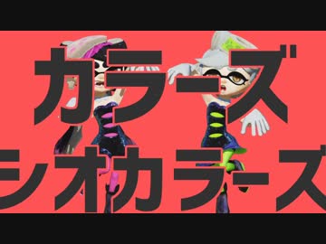 カラーズシオカラーズ