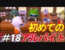 とびだすぜ！どうぶつの森＃１８