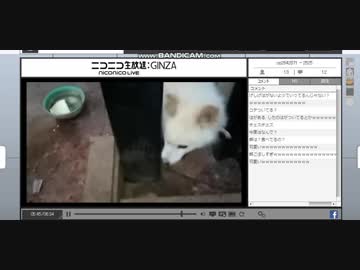 またまた夜型老犬ダンに鳴かれました