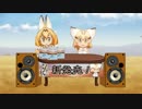 CDを売るスナネコ