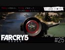 Farcry5 #25 「車盗まれすぎ定期」＠ちゃっぴー