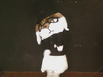 身長が小さいファースーツ（着ぐるみ）を着る。（Small stature fur suit suit up.）