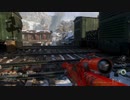 #69【COD WW2】第2次世界大戦下からこんにちは【つみき荘】