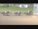 2018年6月15日川崎競馬11R 湘南発祥の地大磯町特別(B2-三・B3-一) ゴッドフュージョン