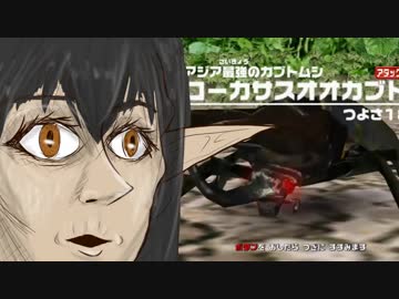 ケリンさんとコーカサスオオカブトさん同時再生