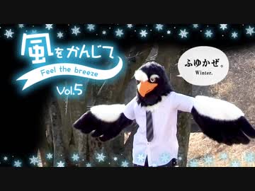 【自作着ぐるみ 鳥】疲れたあなたに。風をかんじて Vol.5【オオワシ Fursuit】