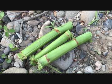 素手から始める旧農耕　第3話「道具作成：水筒と石器」