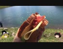 【ゆっくり】チキンの旅日誌　スイス  グルメ旅行⑩　バッハアルプゼー編